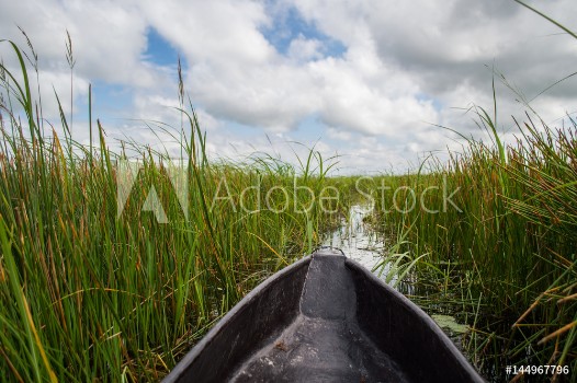 Bild på Mokoro Canoe Trip in the Okavango Delta near Maun Botswana